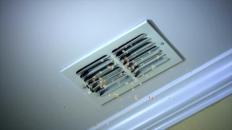 Best Air Duct Mold Removal  in Marshallton, PA